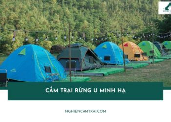 Kinh nghiệm cắm trại rừng U Minh Hạ rừng quốc gia Cà Mau