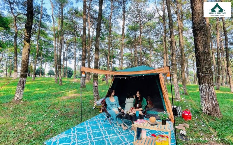 Cắm Trại Trong Rừng