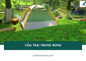 Cắm Trại Trong Rừng