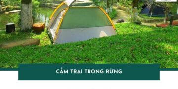 Cắm Trại Trong Rừng