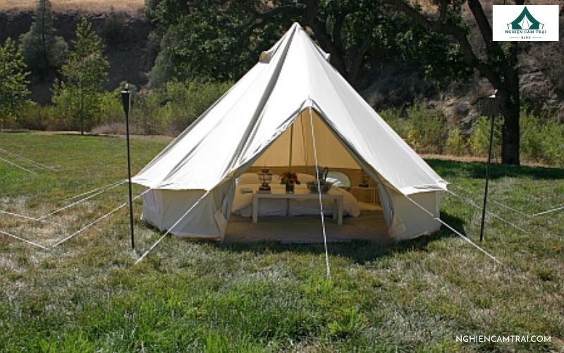 Cắm Trại Trong Rừng