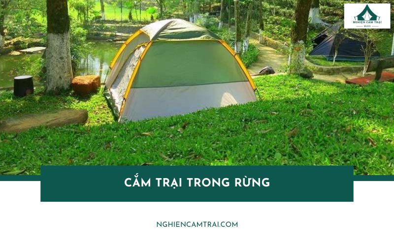 Kinh nghiệm cắm trại trong Rừng an toàn từ A–Z cho người mới