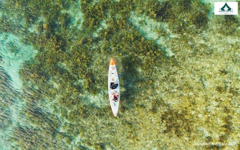 Chèo SUP Bãi Thùng mang đến một trải nghiệm thị giác đầy mãn nhãn