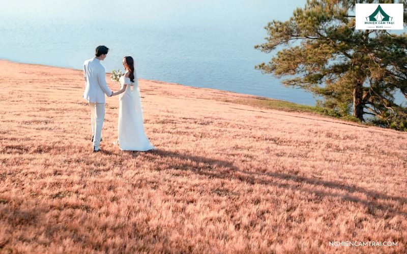 10+ kiểu tạo dáng chụp ảnh cưới dã ngoại đẹp tự nhiên, siêu lãng mạn 18 Cô dâu chú rể cùng nhìn về phía nửa kia