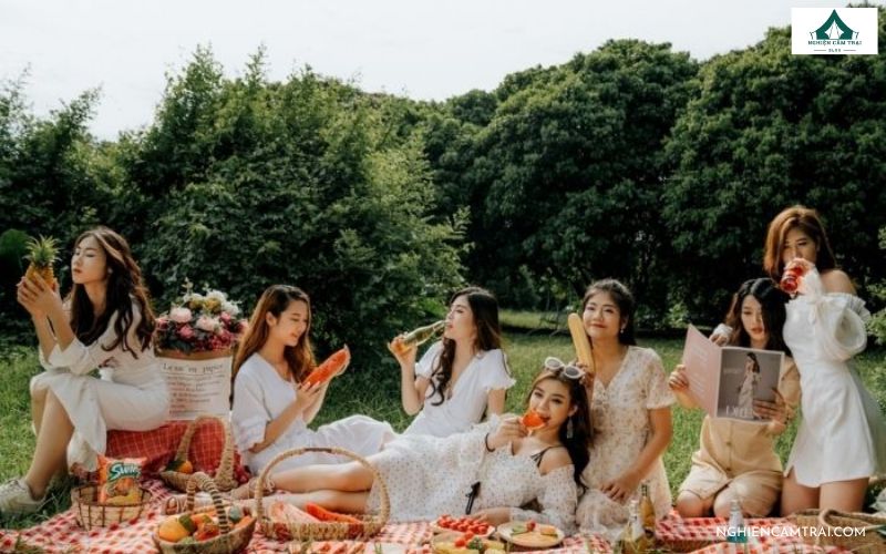 Điểm nổi bật concept picnic dã ngoại