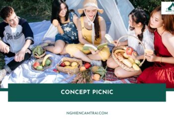 Concept picnic là gì? 10+ ý tưởng chụp picnic dã ngoại cực xinh