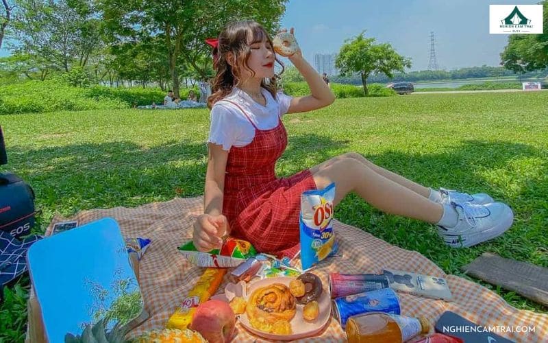 concept picnic tự nhiên, đáng yêu
