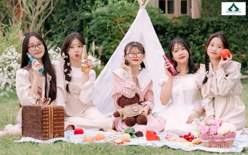 concept picnic cùng với lều trại camping
