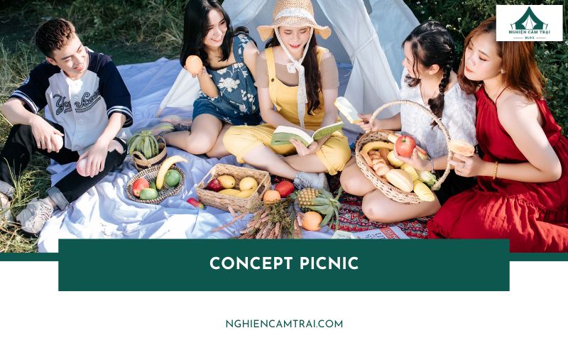Concept picnic là gì? 10+ ý tưởng chụp picnic dã ngoại cực xinh