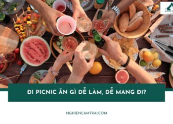 Đi picnic ăn gì? Gợi ý 15 món ngon dễ làm khi đi picnic