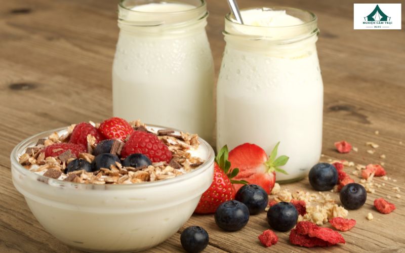 Món ăn đi picnic - sữa chua