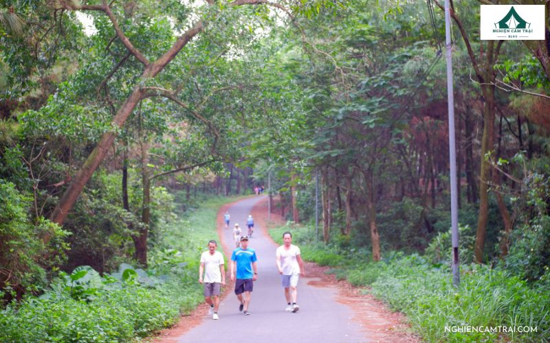 5 địa điểm picnic ở Hải Phòng đẹp, chill lý tưởng cho cuối tuần 5 Tổ chức picnic tại Đồi Thiên Văn Hải Phòng