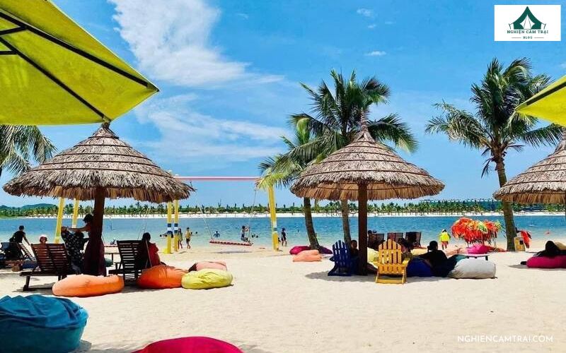 5 địa điểm picnic ở Hải Phòng đẹp, chill lý tưởng cho cuối tuần 6 Trải nghiệm picnic khu du lịch Đồi Rồng Hải Phòng