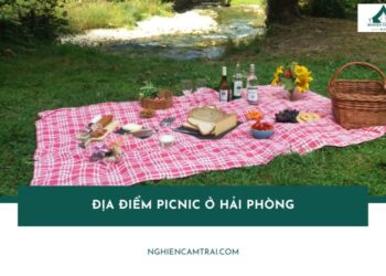 5 địa điểm picnic ở Hải Phòng đẹp, chill lý tưởng cho cuối tuần 9 Top 5 địa điểm picnic ở Hải Phòng đẹp, dễ đi cuối tuần