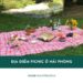 5 địa điểm picnic ở Hải Phòng đẹp, chill lý tưởng cho cuối tuần 31 Top 5 địa điểm picnic ở Hải Phòng đẹp, dễ đi cuối tuần