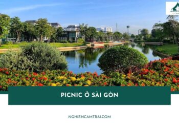 Top 7 địa điểm picnic ở Sài Gòn đẹp, cực chill cuối tuần