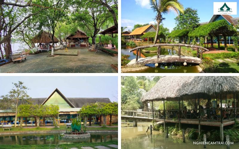 Picnic ở Sài Gòn tại khu du lịch sinh thái Bình Mỹ Củ Chi