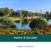 Top 7 địa điểm picnic ở Sài Gòn đẹp, cực chill cuối tuần
