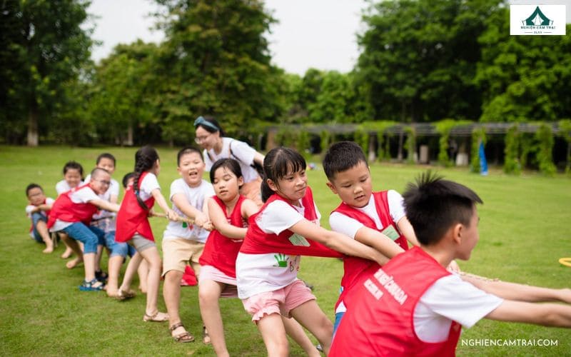 Lợi ích thực tế khi tổ chức dã ngoại cho trẻ em trong môi trường thiên nhiên an toàn