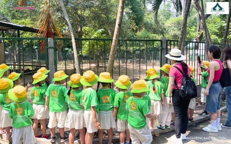 Không gian xanh tại Thảo Cầm Viên phù hợp tổ chức dã ngoại cho trẻ em