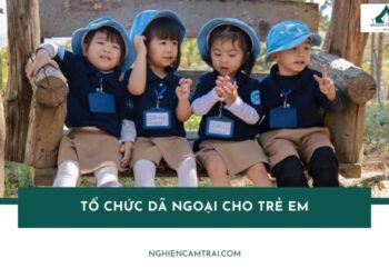Tổ chức dã ngoại cho trẻ em cần chuẩn bị gì? lưu ý gì? đi đâu? 10 Top địa điểm tổ chức dã ngoại cho trẻ em an toàn, sáng tạo