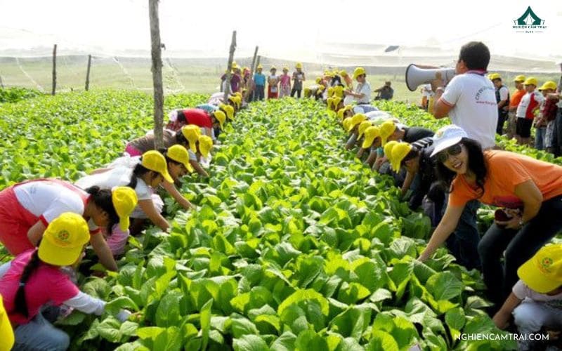 Những lưu ý quan trọng khi tổ chức dã ngoại cho trẻ em nhằm đảm bảo an toàn