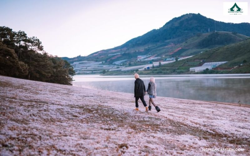 Cắm Trại Đồi Cỏ Hồng – Điểm săn mây và Check-in cực đẹp ở Đà Lạt 10 cắm trại đồi cỏ hồng