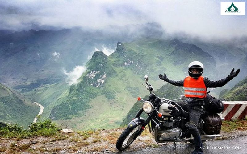 Cắm Trại Đồi Cỏ Hồng – Điểm săn mây và Check-in cực đẹp ở Đà Lạt 11 cắm trại đồi cỏ hồng