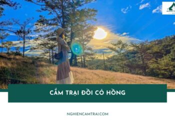 cắm trại đồi cỏ hồng
