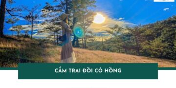 cắm trại đồi cỏ hồng