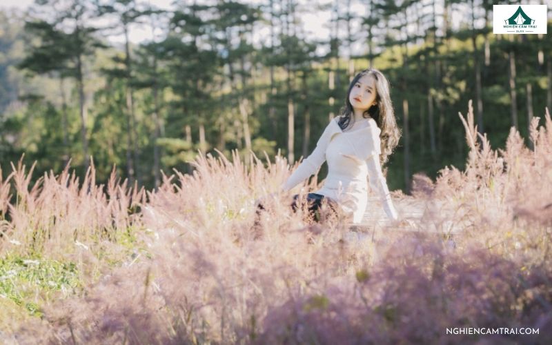 Cắm Trại Đồi Cỏ Hồng – Điểm săn mây và Check-in cực đẹp ở Đà Lạt 13 cắm trại đồi cỏ hồng