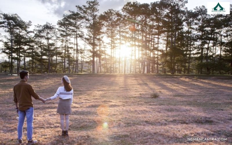 Cắm Trại Đồi Cỏ Hồng – Điểm săn mây và Check-in cực đẹp ở Đà Lạt 16 cắm trại đồi cỏ hồng