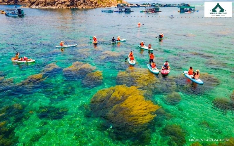 Một số lưu ý cần biết cho người mới bắt đầu chèo SUP