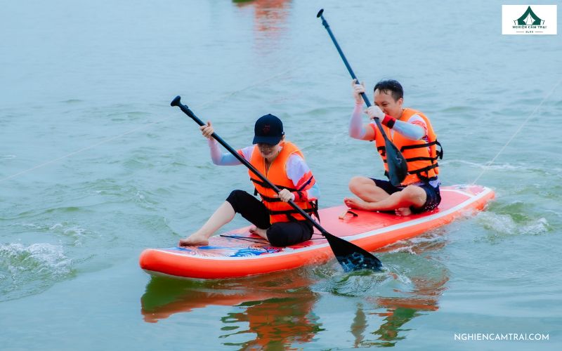 Cầm mái chèo chuẩn xác