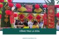 30+ mẫu cổng trại lá dừa độc đáo, dễ làm cho hội trại ấn tượng