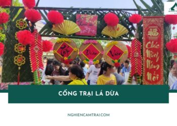 30+ mẫu cổng trại lá dừa độc đáo, dễ làm cho hội trại ấn tượng