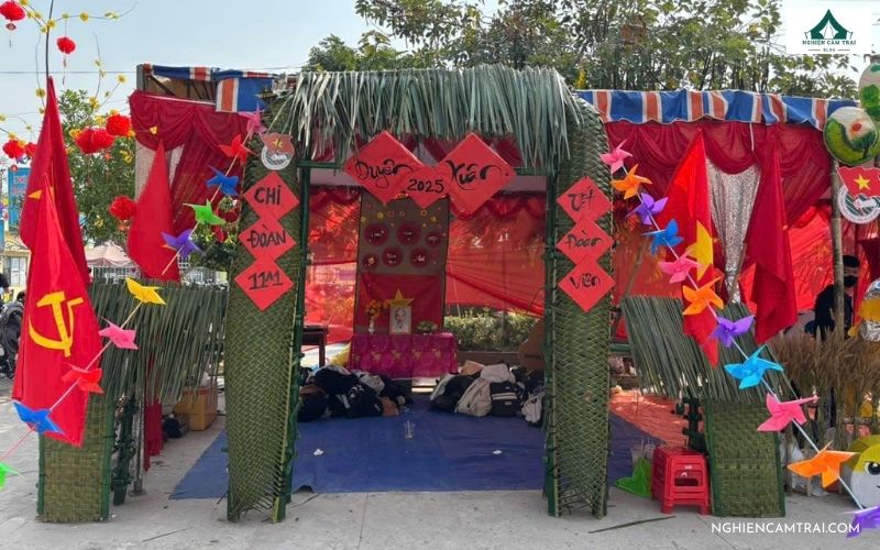 Sưu tầm 55+ mẫu cổng trại Xuân độc đáo, sáng tạo và đoạt giải cao 43 cổng trại Xuân bằng lá dừa đơn giản