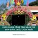 Cách dựng cổng trại bằng tre đơn giản, chắc chắn nhất
