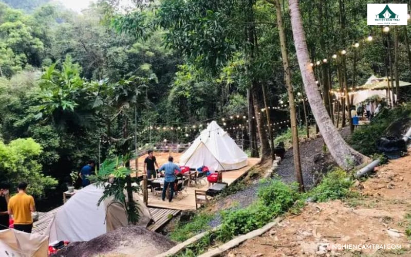 Kong Forest Glamping Nha Trang rừng nguyên sinh zipline canopy