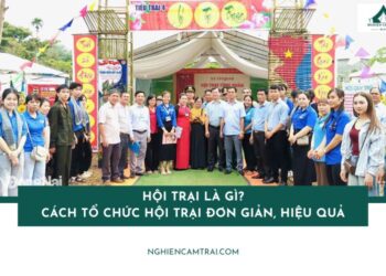 Hội trại là gì? Cách tổ chức hội trại đơn giản, hiệu quả