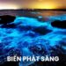 Biển phát sáng là gì? Hiện tượng huyền bí của đại dương 19 Biển phát sáng là gì? Hiện tượng huyền bí của đại dương