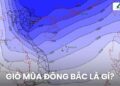 Gió mùa Đông Bắc là gì? Xuất phát từ đâu, thời gian hoạt động ra sao?