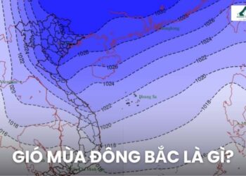 Gió mùa Đông Bắc là gì? Xuất phát từ đâu, thời gian hoạt động ra sao?