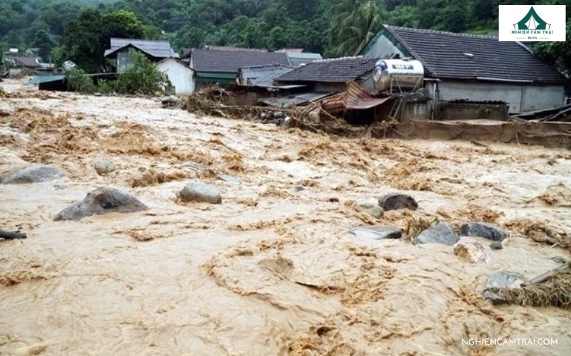 Nước dâng lên bất thường cũng là 1 dấu hiệu