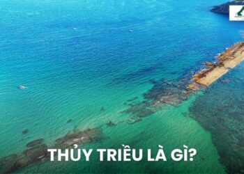 Thủy Triều là gì? Chu kỳ lên xuống vào thời gian nào trong ngày?