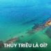 Thủy Triều là gì? Chu kỳ lên xuống vào thời gian nào trong ngày?