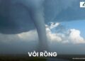 Vòi rồng