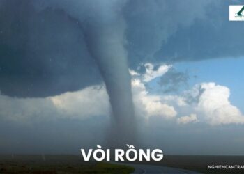 Giải mã hiện tượng vòi rồng: Nguyên nhân, cường độ và cách xử lý 17 Vòi rồng