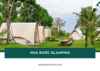 Review thiên đường dã ngoại Hoa Đước Glamping từ A đến Z