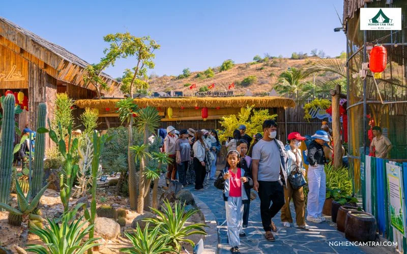Giá vé tham quan Mango Beach hợp lý, phù hợp cho nhiều du khách